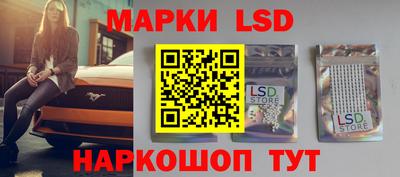 стафф Ставрополь