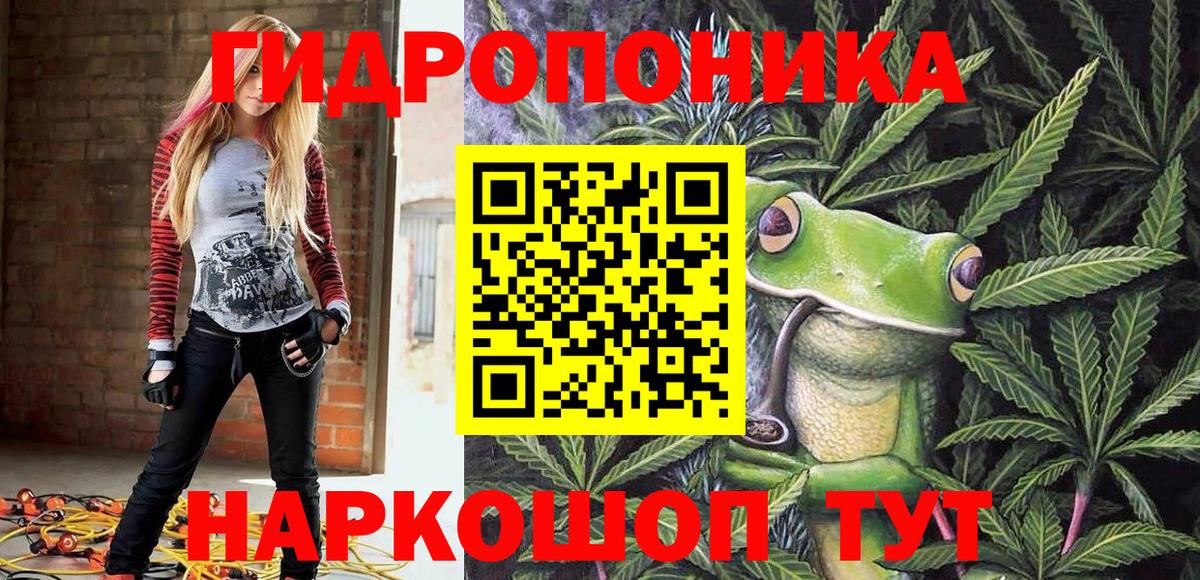 Конопля сатива  Шишки марихуана конопля  Вход с VPN  Нерюнгри  Канабис гибрид  Марихуана сатива 